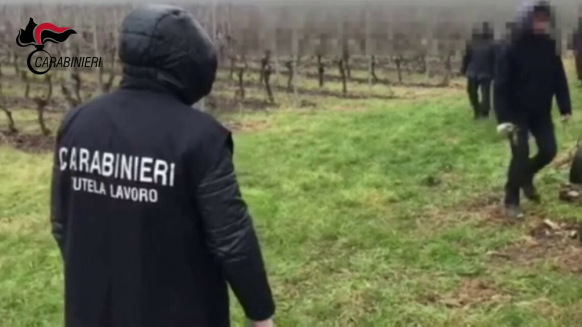 Arrestati a Ferrara due pachistani per sfruttamento del lavoro Arrestati a Ferrara due pachistani per sfruttamento del lavoro