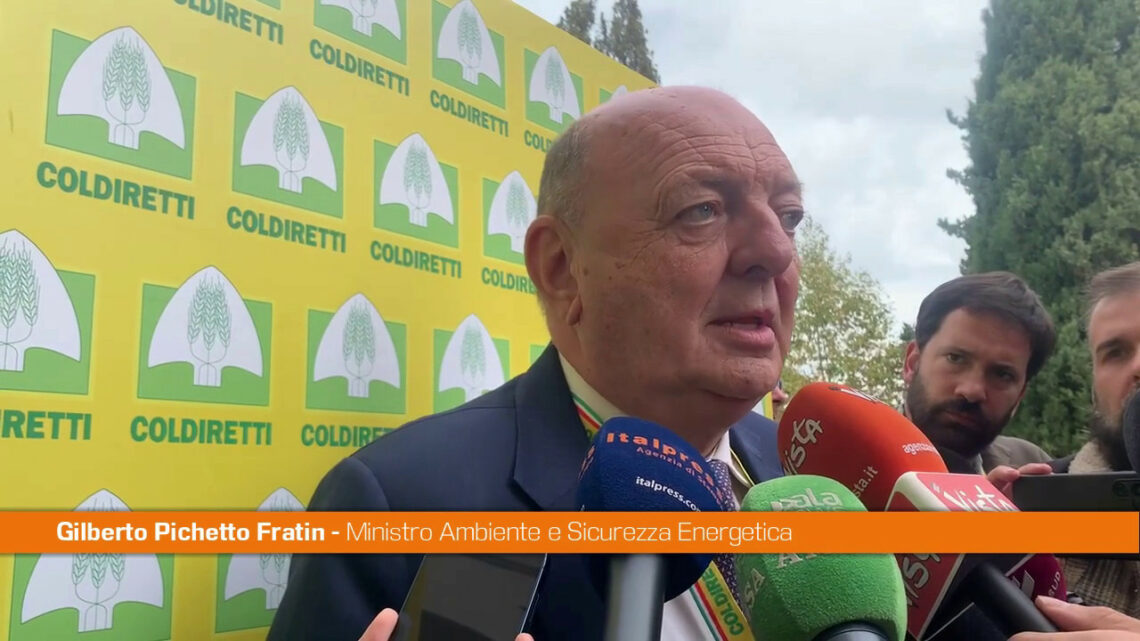 Pichetto “Dal Governo una manovra seria e realistica” Pichetto “Dal Governo una manovra seria e realistica”