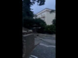 Maltempo a Ischia, acqua e fango invadono strade e case
