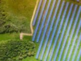 Agrivoltaico: perché gli agricoltori hanno creato un’Associazione ?