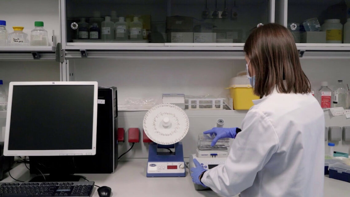 Tumore al pancreas, casi in aumento Tumore al pancreas, casi in aumento