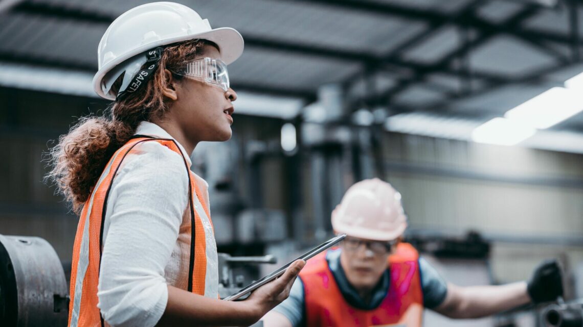 Gestionali nelle Pmi italiane, una crescita decisa Gestionali nelle Pmi italiane, una crescita decisa