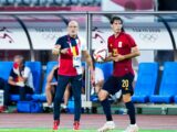 De la Fuente è il nuovo ct della Nazionale spagnola