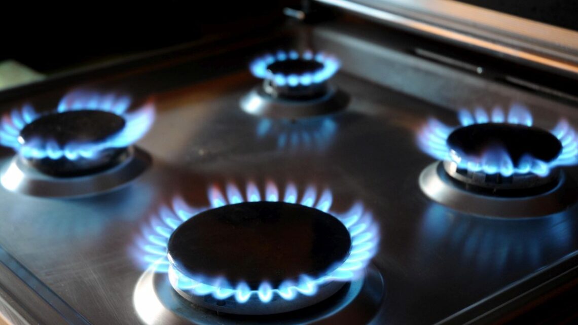 Via libera dal Consiglio Ue al tetto al prezzo del gas Via libera dal Consiglio Ue al tetto al prezzo del gas