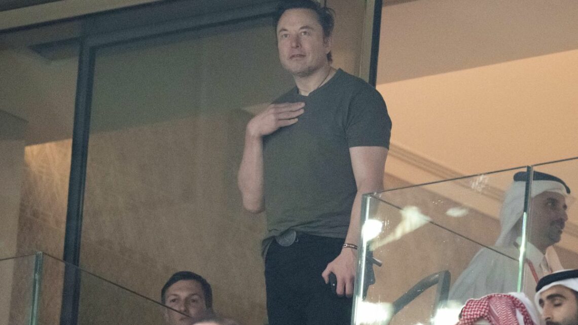 Twitter, Musk “Mi dimetterò da Ceo appena avrò trovato un successore” Twitter, Musk “Mi dimetterò da Ceo appena avrò trovato un successore”