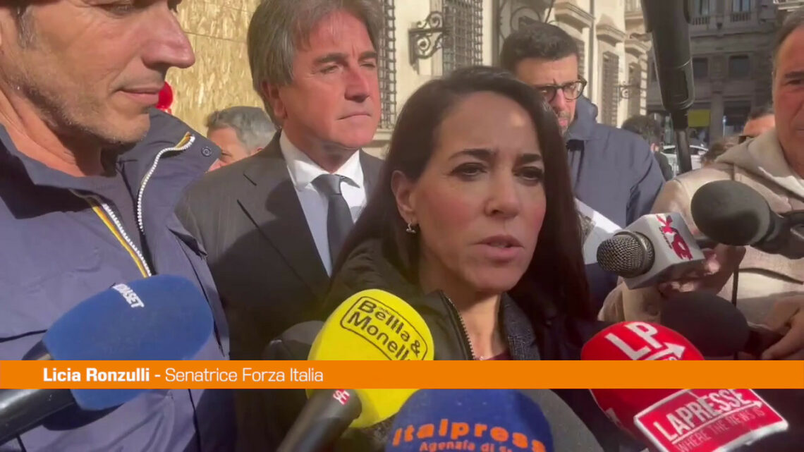 Manovra, Ronzulli “Stiamo lavorando per garantire i tempi” Manovra, Ronzulli “Stiamo lavorando per garantire i tempi”