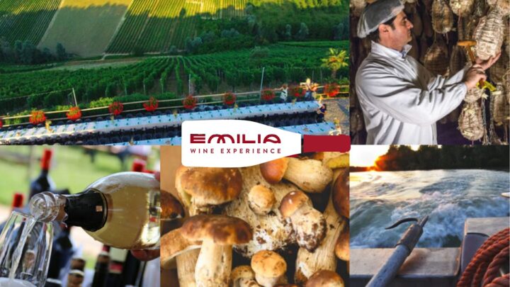 Emilia Wine Experience, buona la prima annata del progetto di destinazione