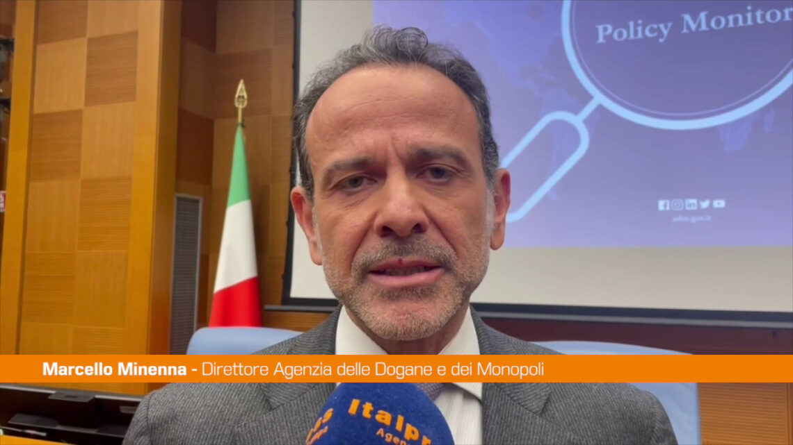 Adm, Minenna “Utile confronto con Paesi G20” Adm, Minenna “Utile confronto con Paesi G20”