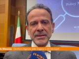 Adm, Minenna “Utile confronto con Paesi G20”