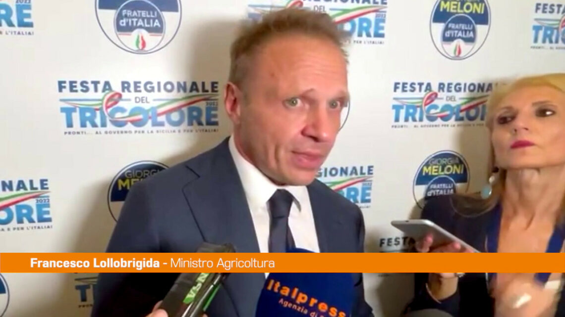 Lollobrigida “Reddito? Va dato solo a chi non può lavorare” Lollobrigida “Reddito? Va dato solo a chi non può lavorare”