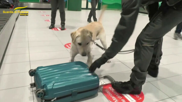Sequestrati più di 4 mila farmaci illegali all’aeroporto di Bologna