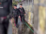Sequestro in un canile del milanese in cattive condizioni igieniche