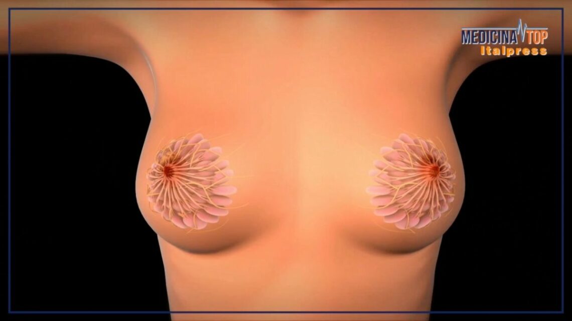 Tumore al seno, la sopravvivenza a 5 anni dalla diagnosi è dell’88% Tumore al seno, la sopravvivenza a 5 anni dalla diagnosi è dell’88%