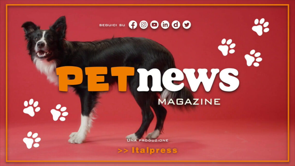 PetNews Magazine – 17/1/2023 PetNews Magazine – 17/1/2023