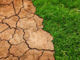 Il 2023 altro anno a rischio climatico.