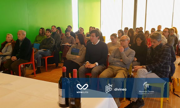 Enoturismo e vendite in cantina, ha successo la formula Divinea per i vini della Maremma Toscanaaremma