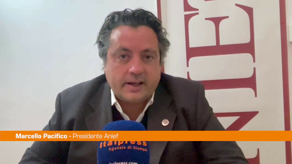 Scuola, Anief “Urgenze da affrontare prima del dl sul Pnrr” Scuola, Anief “Urgenze da affrontare prima del dl sul Pnrr”