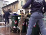 Sgominata piazza di spaccio a Torino