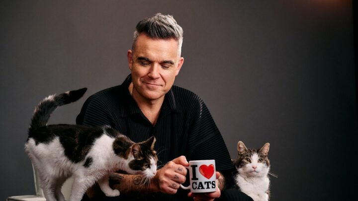 Gatti, Robbie Williams mette la faccia e la voce per Purina Felix