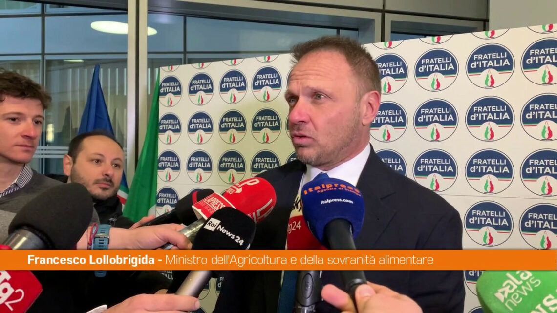 Lollobrigida “Non ci sono tensioni particolari nella maggioranza” Lollobrigida “Non ci sono tensioni particolari nella maggioranza”