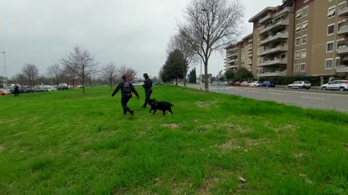 Cani avvelenati a Firenze, bonifica dell’unità cinofila Cani avvelenati a Firenze, bonifica dell’unità cinofila