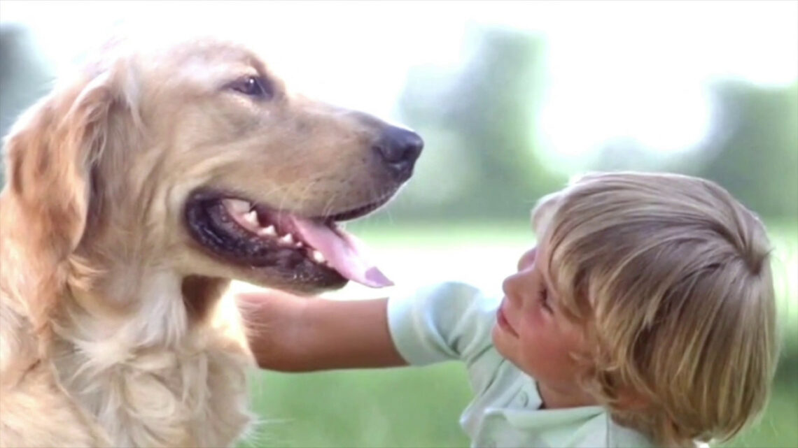La terapia con i cani per i disturbi di personalità La terapia con i cani per i disturbi di personalità