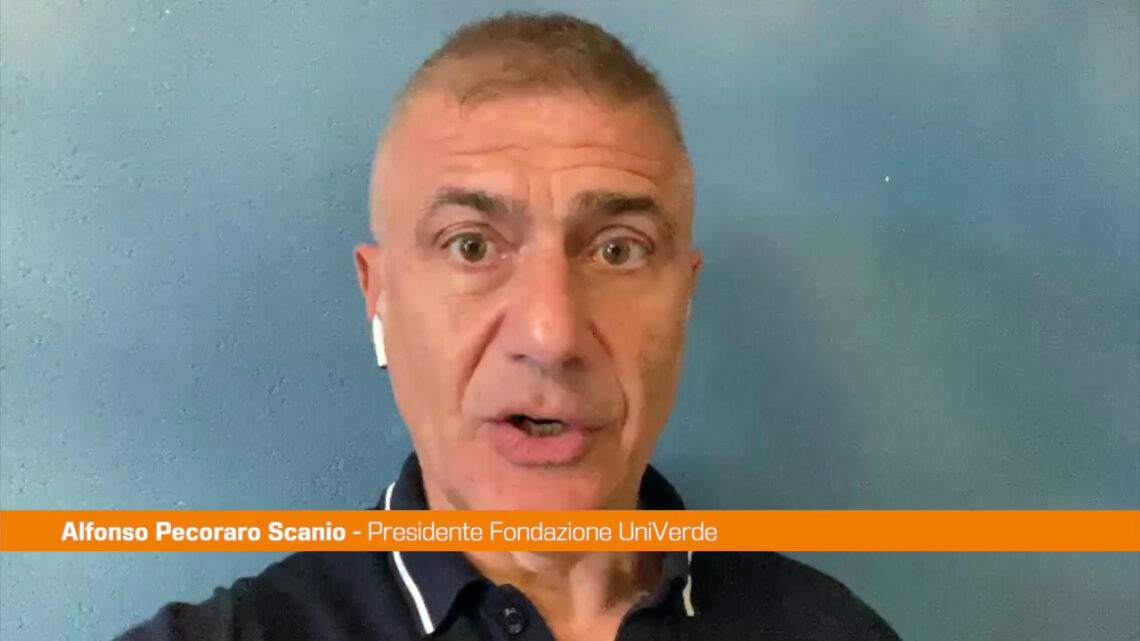 Pecoraro Scanio “Pronti a referendum contro autonomia differenziata” Pecoraro Scanio “Pronti a referendum contro autonomia differenziata”