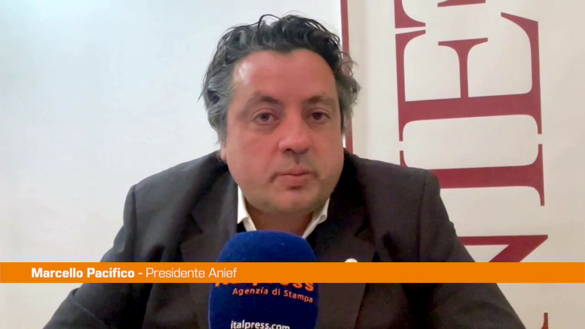Scuola, Anief “Affrontare la questione del precariato” Scuola, Anief “Affrontare la questione del precariato”