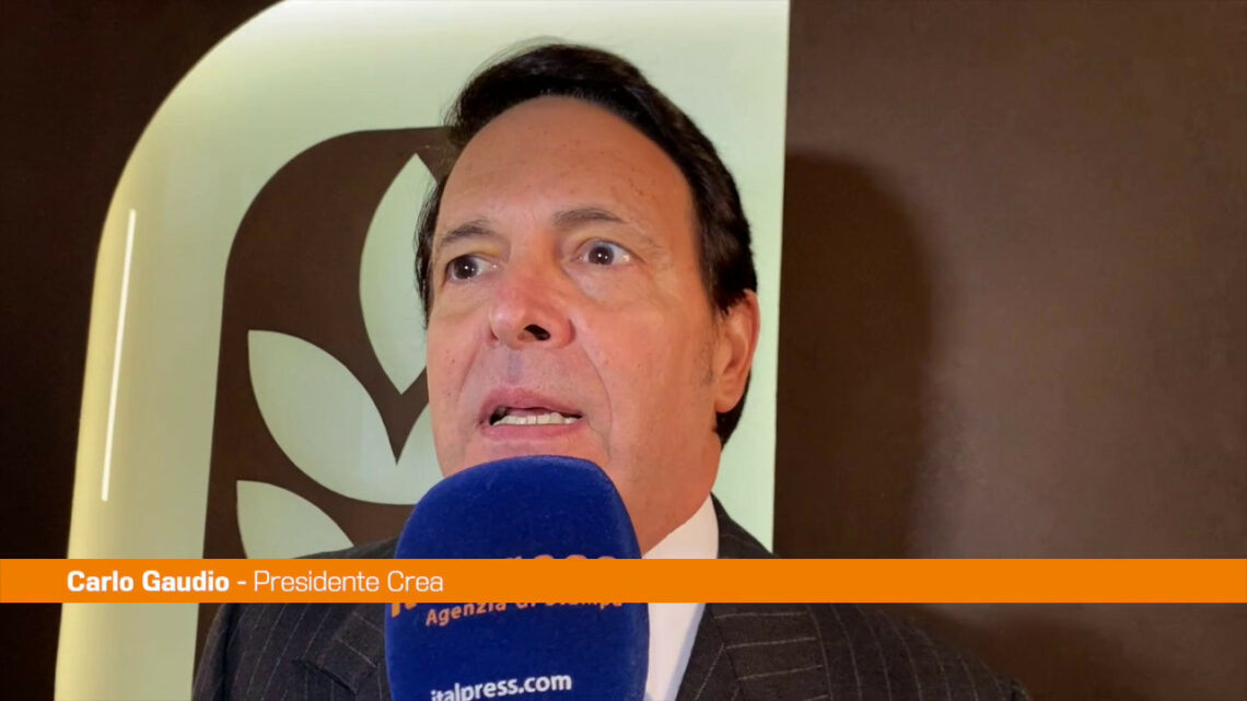 Gaudio “Il verde urbano è un investimento per la salute” Gaudio “Il verde urbano è un investimento per la salute”