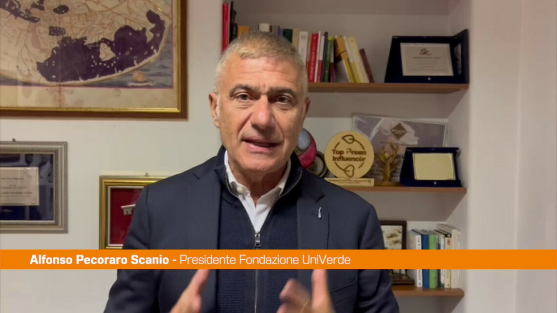 Pecoraro Scanio “Inaccettabile trattare attivisti come mafiosi” Pecoraro Scanio “Inaccettabile trattare attivisti come mafiosi”