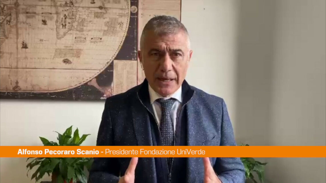 Superbonus, Pecoraro Scanio “Il governo ritiri il decreto” Superbonus, Pecoraro Scanio “Il governo ritiri il decreto”