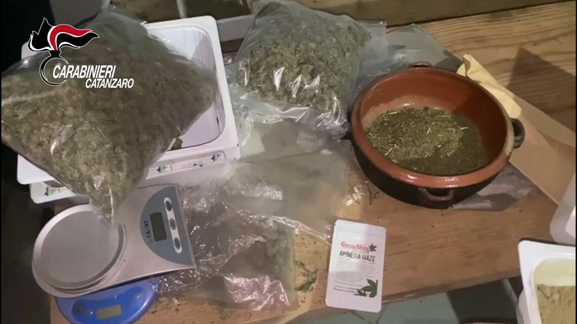 Scoperto traffico di droga a Catanzaro, coinvolti anche minorenni Scoperto traffico di droga a Catanzaro, coinvolti anche minorenni