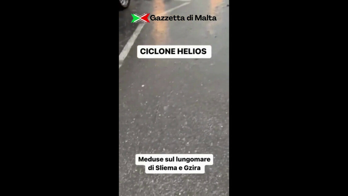A Malta volano meduse sul lungomare, le immagini sorprendenti A Malta volano meduse sul lungomare, le immagini sorprendenti