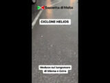 A Malta volano meduse sul lungomare, le immagini sorprendenti