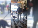 Atterrato in Turchia primo C-130 dell’Aeronautica con aiuti italiani
