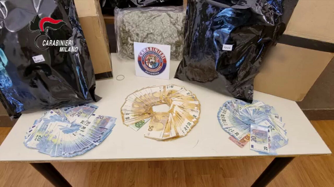 Colpo a spaccio di stupefacenti, 14 arresti tra Lombardia e Piemonte Colpo a spaccio di stupefacenti, 14 arresti tra Lombardia e Piemonte