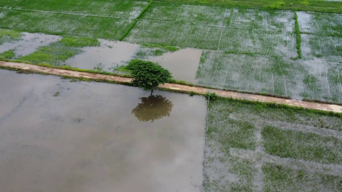 Clima, adesso si teme la siccità Clima, adesso si teme la siccità