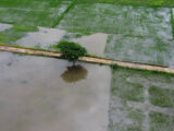 Clima, adesso si teme la siccità