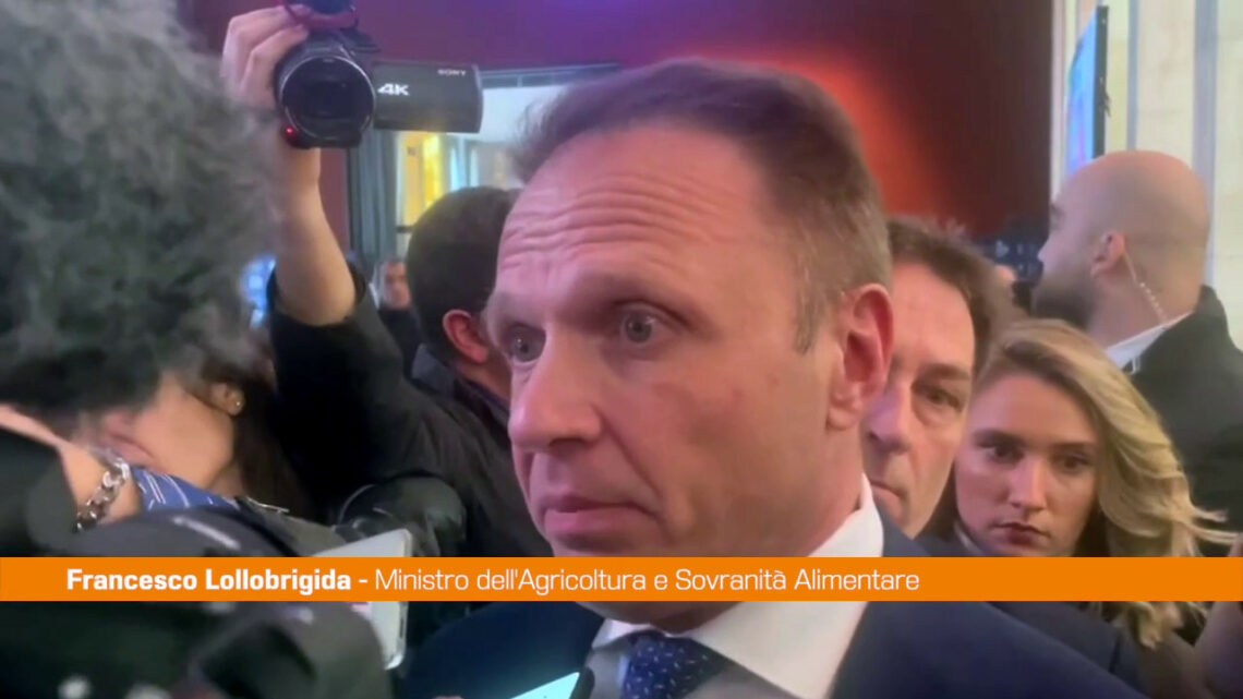 Regionali, Lollobrigida “Il centrodestra cresce” Regionali, Lollobrigida “Il centrodestra cresce”