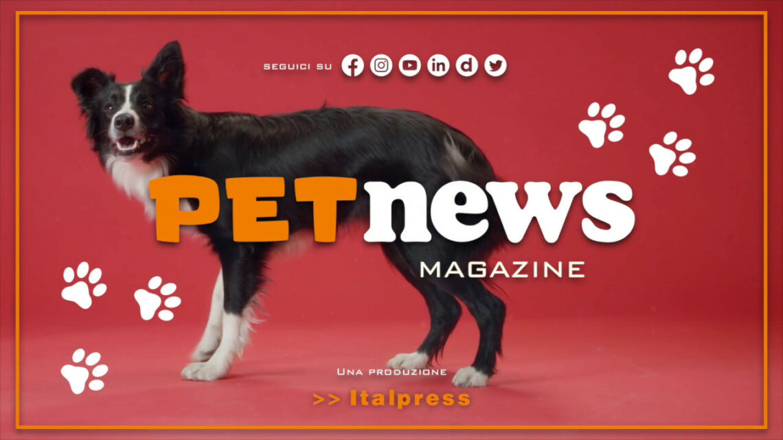 PetNews Magazine – 28/2/2023 PetNews Magazine – 28/2/2023