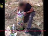Sequestrati 435 chili di droga in Sicilia, 21 arresti