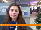 Ceccardi “L’Ucraina non si arrenderà”