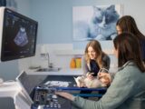 Cure veterinarie, AniCura inaugura una nuova sede a Bergamo