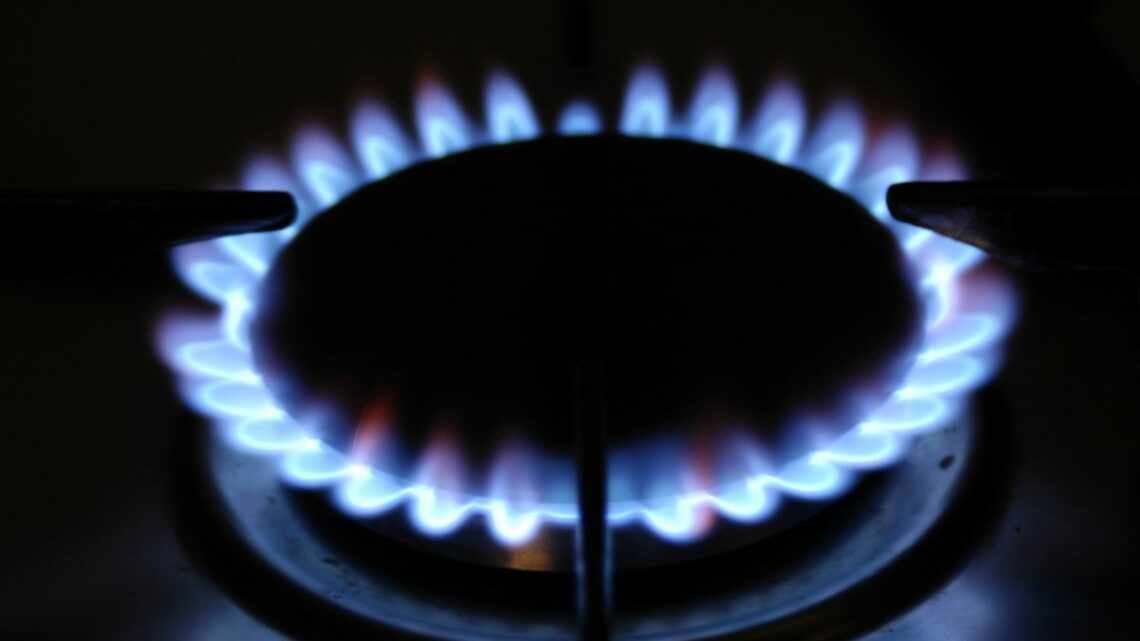 Accordo nel Consiglio Ue sulla riduzione dei consumi di gas Accordo nel Consiglio Ue sulla riduzione dei consumi di gas