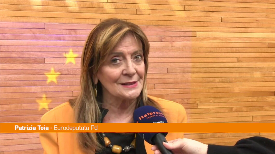 Energia, Toia “Nella riforma Ue luci e ombre” Energia, Toia “Nella riforma Ue luci e ombre”