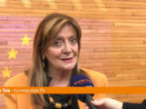 Energia, Toia “Nella riforma Ue luci e ombre”