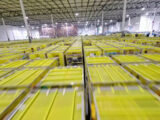 E-commerce, Amazon lancia le offerte di primavera