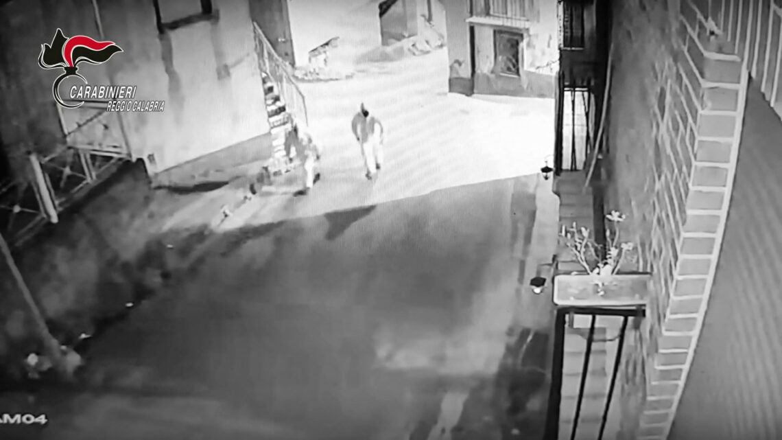 Intimidazioni, armi e droga, 11 giovani arrestati tra Calabria e Lazio Intimidazioni, armi e droga, 11 giovani arrestati tra Calabria e Lazio