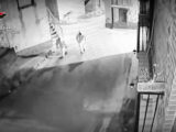 Intimidazioni, armi e droga, 11 giovani arrestati tra Calabria e Lazio