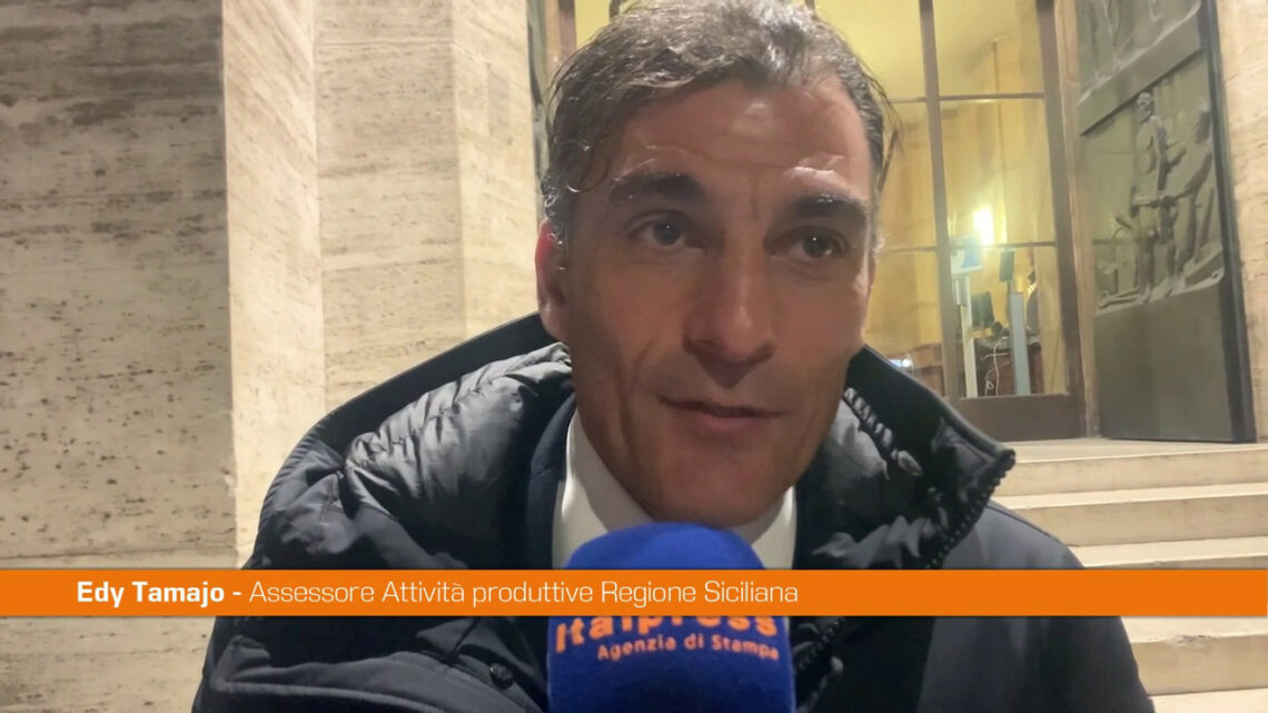 Almaviva, Tamajo “Presto in Cdm provvedimento per tutela occupazione” Almaviva, Tamajo “Presto in Cdm provvedimento per tutela occupazione”